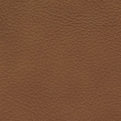 Magic Man 5-Piece Power Reclining Sectional